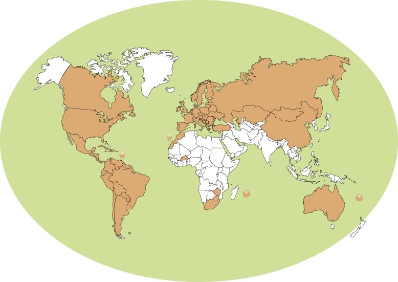 Carte du monde présentant les pays où la vache Limousine est présente (plus de 80).